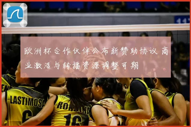 欧洲杯合作伙伴公布新赞助协议 商业激活与转播资源调整可期