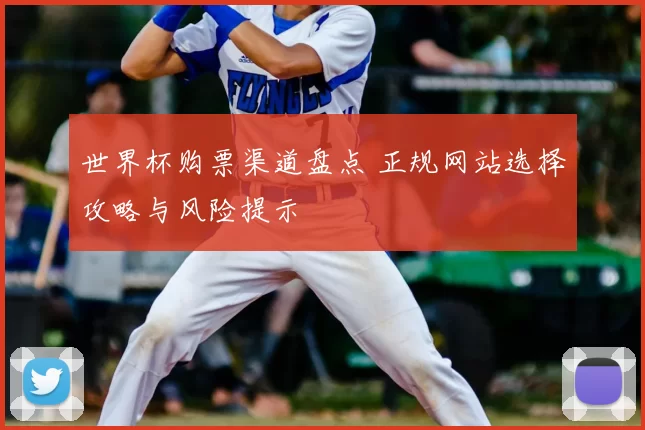 世界杯购票渠道盘点 正规网站选择攻略与风险提示
